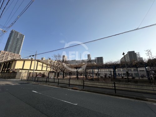 小学校　日吉小学校（小学校）まで394m