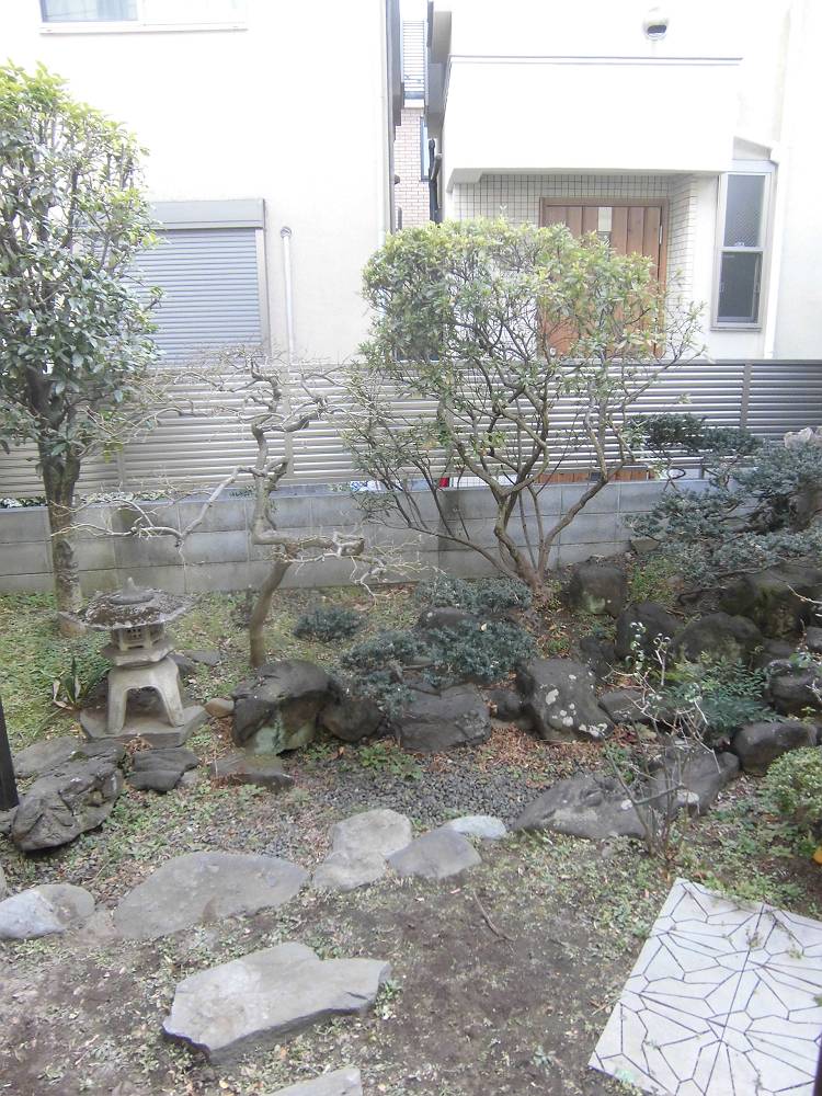 庭