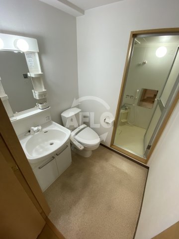 洗面設備　ラナップスクエア南森町ＮＥＸＴＳＴＡＧＥ　洗面脱衣所