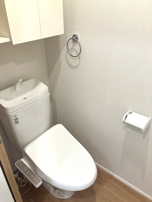 メゾン ルメイリアのトイレ写真