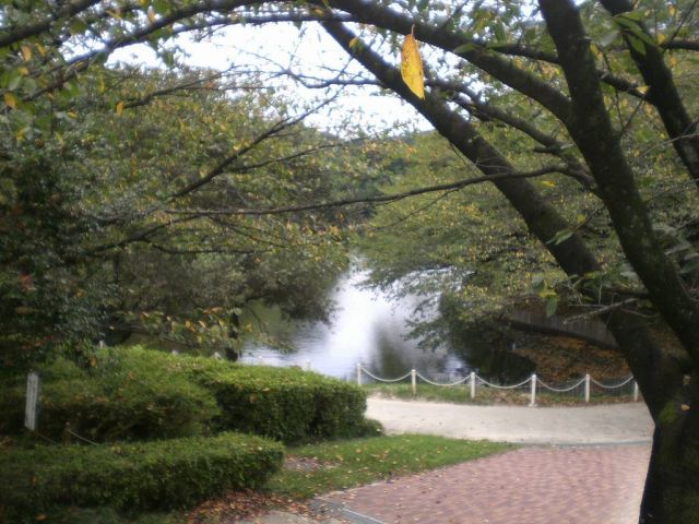 公園　東海緑地大池公園（公園）まで1800m
