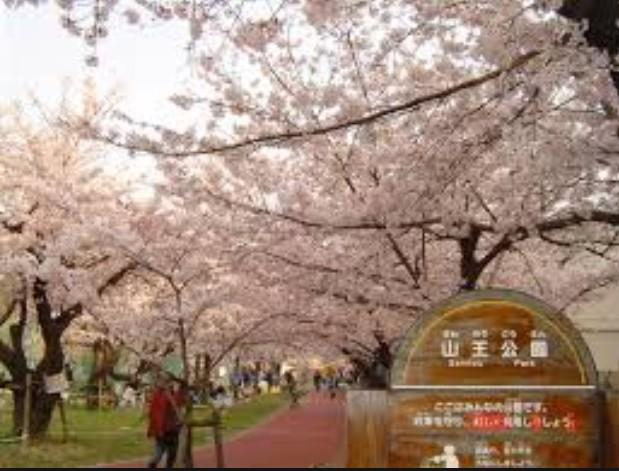 公園　山王公園（公園）まで290m