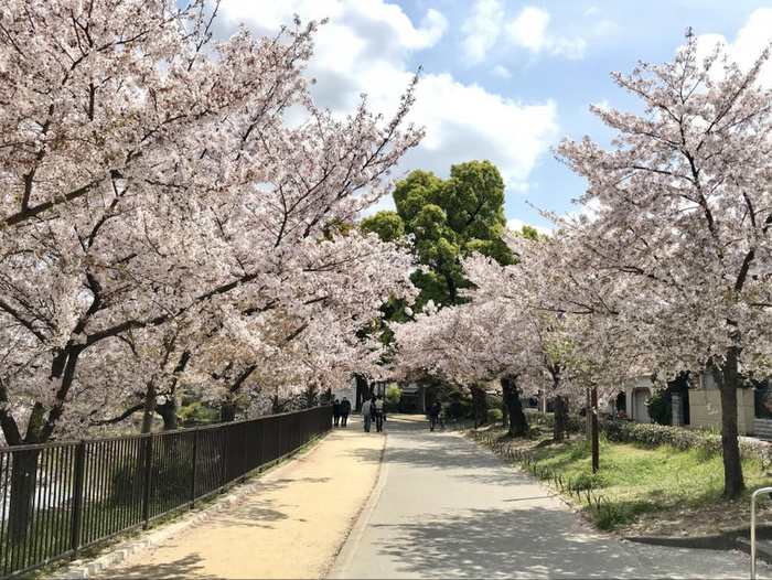 公園　万代池公園（公園）まで500m
