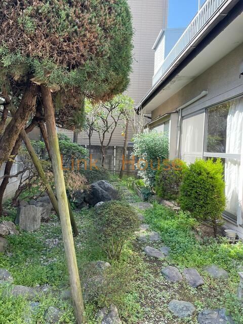 庭
