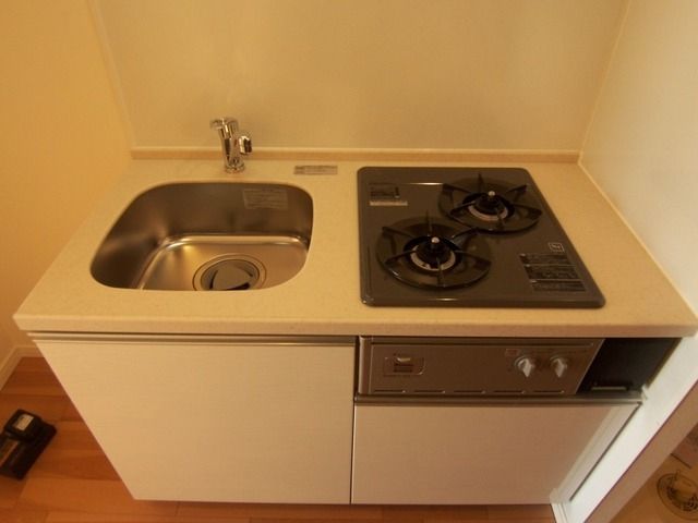 キッチン　Dタイプ2011年1月撮影