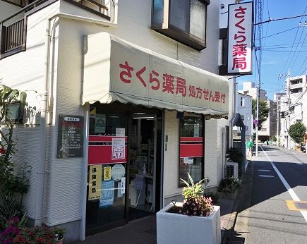 ドラックストア　さくら薬局 上野毛店（ドラッグストア）まで108m