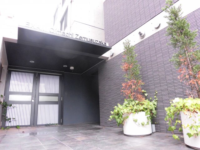 エントランス　EXAM大井町ゼームス坂（エグザム大井町ゼームス坂）