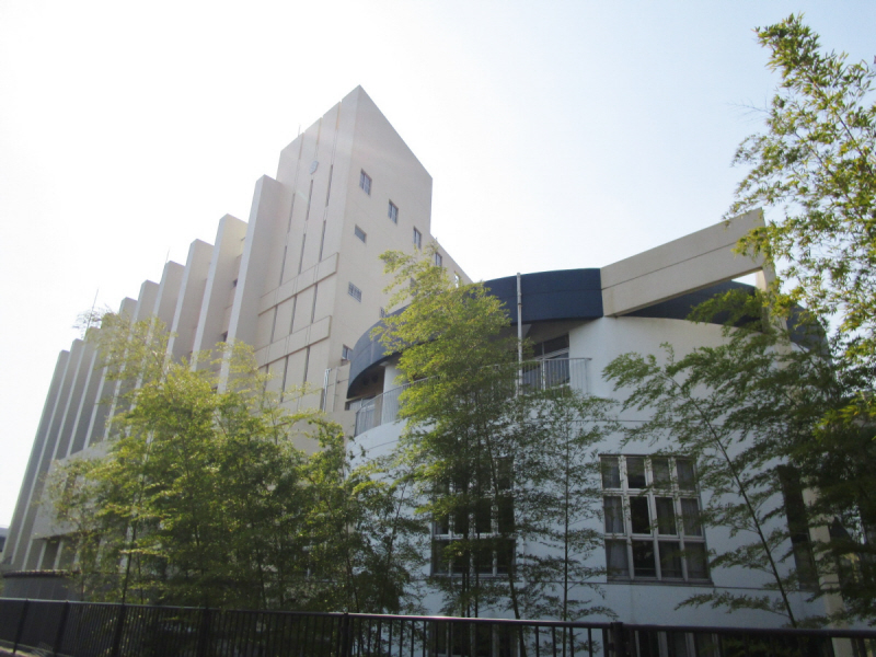 小学校　若宮小学校（小学校）まで656m