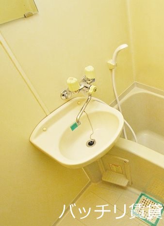 洗面設備　画像は別号室タイプの為、現状を優先致します。