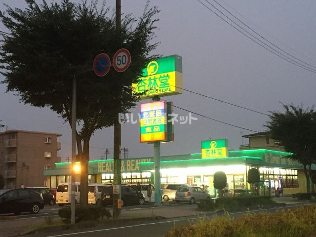 ドラックストア　杏林堂ドラッグストア 向宿店（ドラッグストア）まで1218m