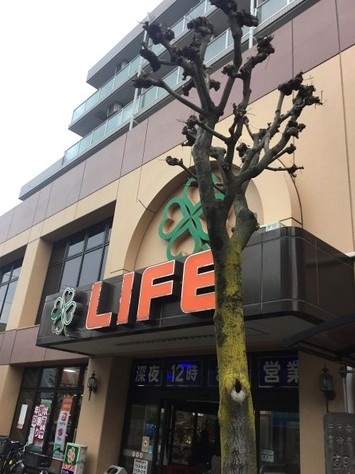 スーパー　ライフ武蔵小山店（スーパー）まで589m