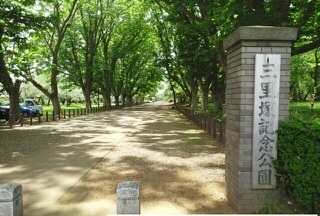 公園　三里塚記念公園（公園）まで260m