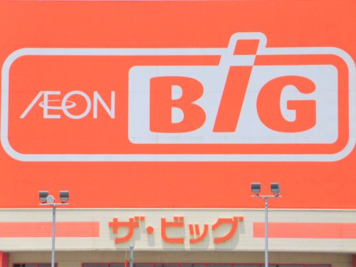 スーパー　ザ・ビック大垣河間店（スーパー）まで877m