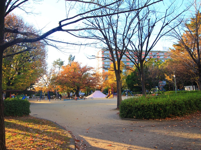 公園　稲葉地公園（公園）まで211m