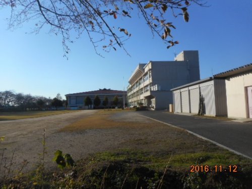 小学校　桜木小学校（小学校）まで1043m