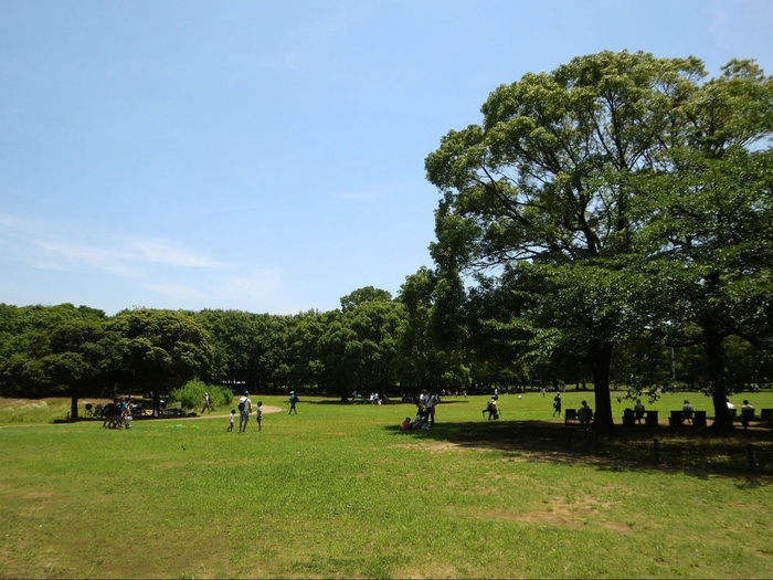 公園　行田公園（公園）まで230m