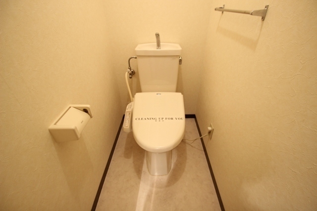 第3大上ビルのトイレ写真