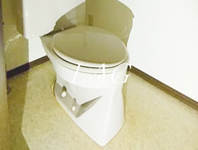 トイレ　トイレです。