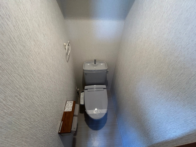 リバティープラザ花園IIのトイレ写真