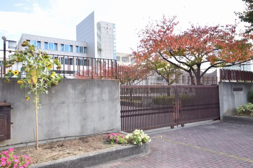 中学校　大阪市立難波中学校（中学校）まで482m