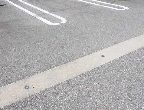 デイジーC_その他_3