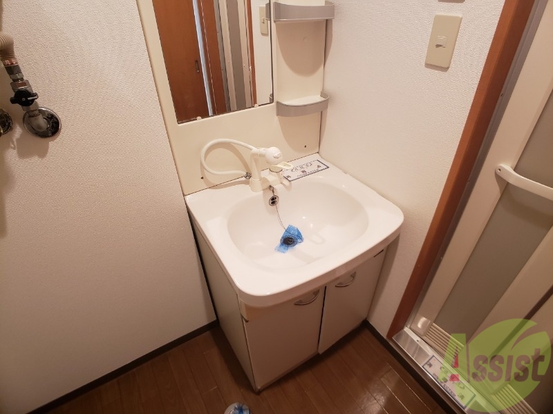 洗面設備　シャンプードレッサー。身支度はここでばっちりですね。