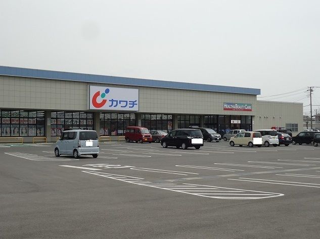 ドラックストア　カワチ薬品富津店（ドラッグストア）まで600m