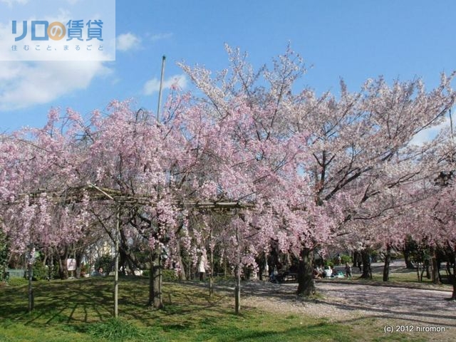 公園　西猪名公園（公園）まで702m