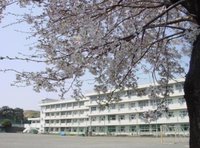 小学校　座間市立立野台小学校（小学校）まで329m