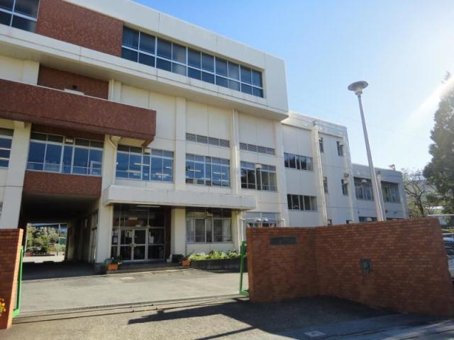 小学校　川口市立神根東小学校（小学校）まで1404m