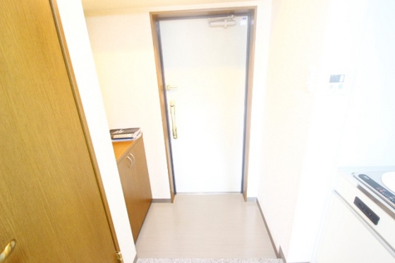 玄関　※別部屋の写真です