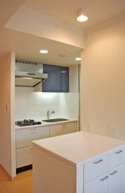 キッチン　同仕様写真