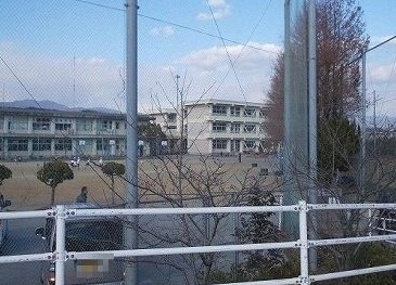 小学校　高知市立大津小学校（小学校）まで262m