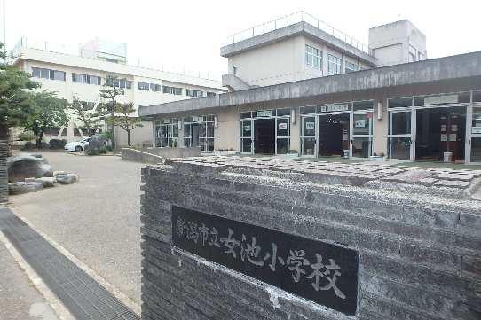 小学校　新潟市立女池小学校（小学校）まで213m