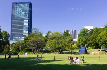 公園　目黒区立菅刈公園（公園）まで239m