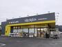ドラックストア　マツモトキヨシ　松戸新田店（ドラッグストア）まで798m