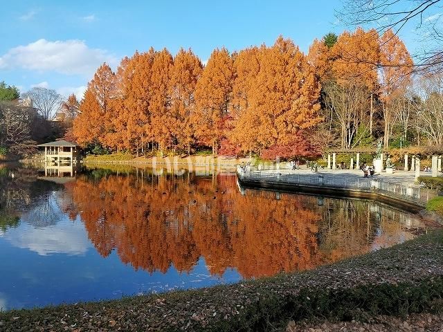 公園　栃木県中央公園（公園）まで1112m