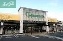 スーパー　ハピッシュ国府市場店（スーパー）まで603m