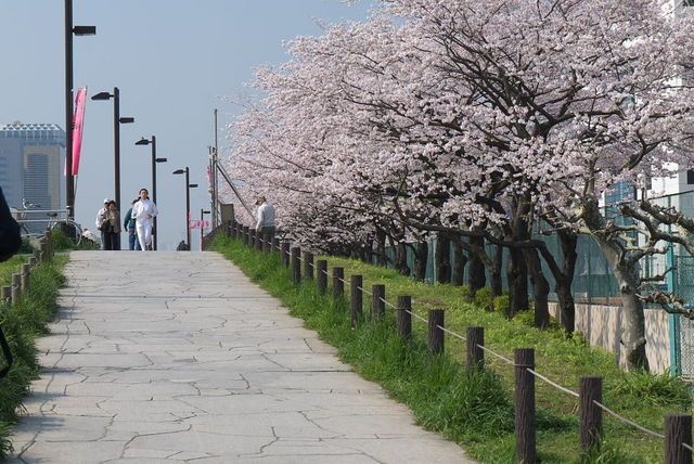 その他　隅田川（その他）まで460m