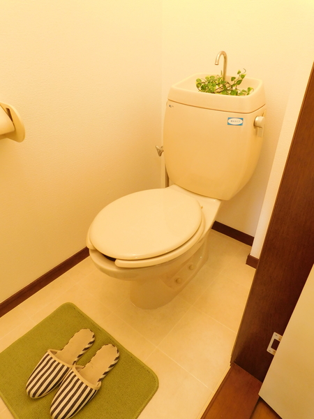 αNEXTシーラインのトイレ写真