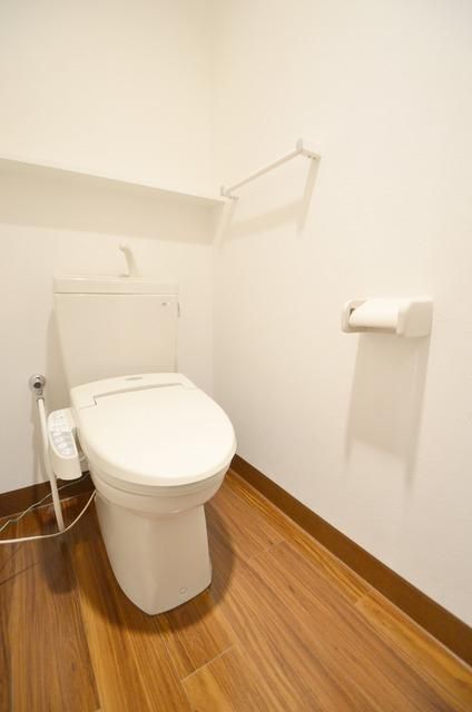 東武東上線 ふじみ野駅 徒歩12分 3階建 築17年のトイレ写真