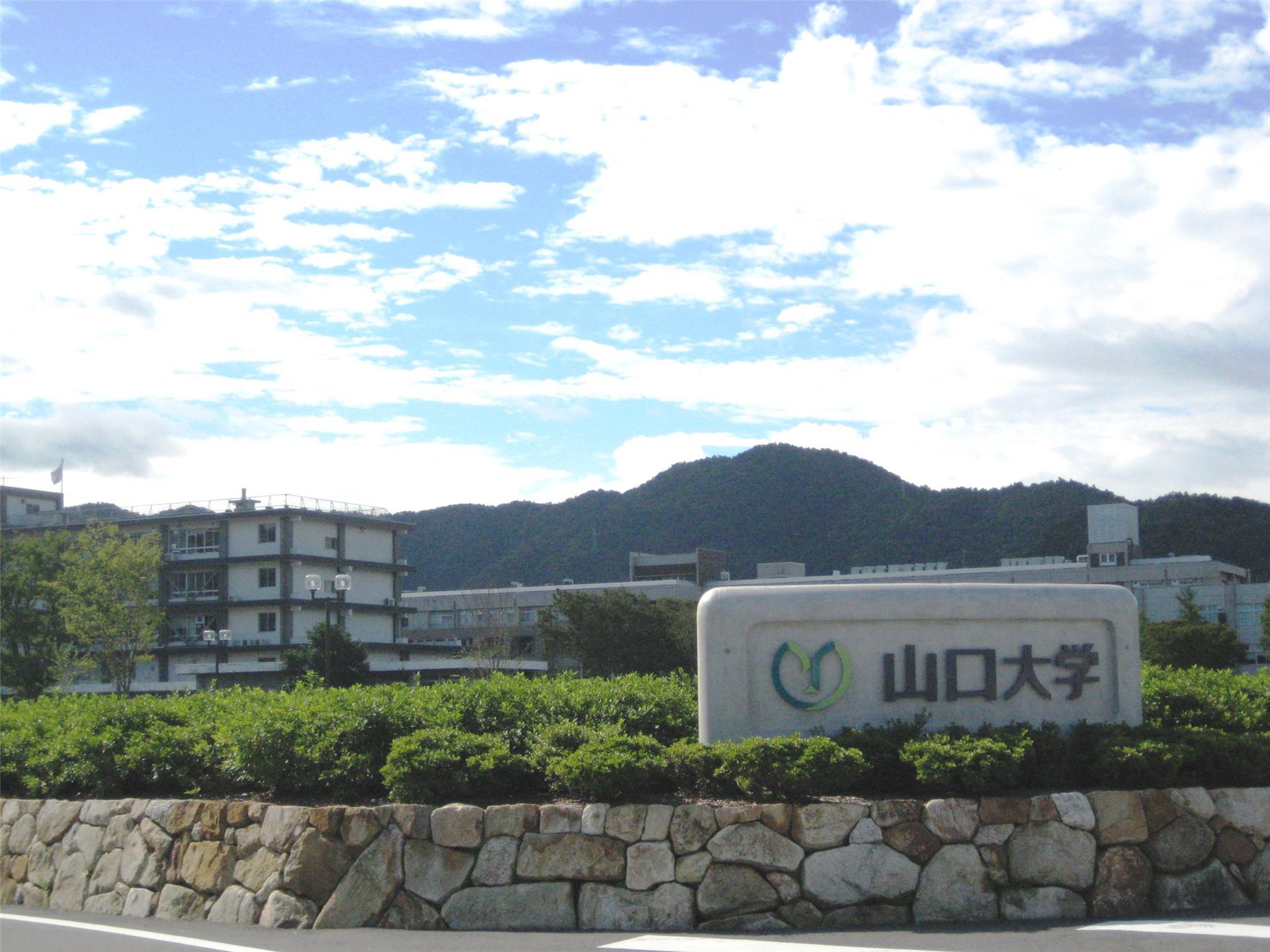 大学・短大　山口大学（大学・短大）まで1782m