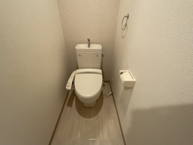 トイレ　トイレも気になるポイント