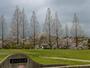 公園　津々山台公園（公園）まで2605m
