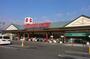 スーパー　マルヨシセンター 国分寺店（スーパー）まで982m