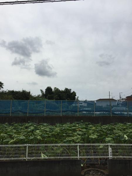 眺望　★外玄関★