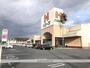 スーパー　ハローズ羽島店（スーパー）まで179m