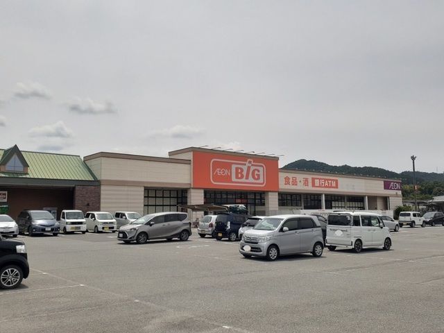 スーパー　ザ・ビッグ篠山店様（スーパー）まで1500m