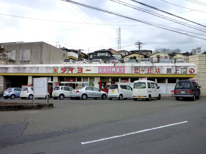 スーパー　タイヨー辻ヶ丘店（スーパー）まで1100m