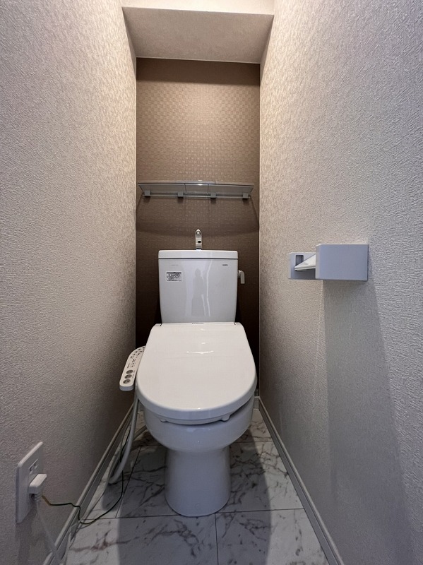 トイレ　同シリーズ参考写真